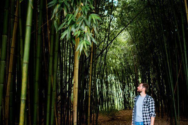 Bosque de bambú Muskiz