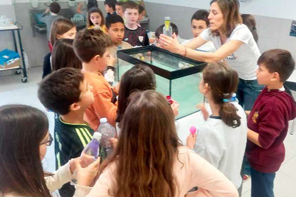 Noche de las investigadoras e investigadores Portugalete