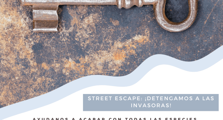 street-scape-room-ambiental-en-getxo