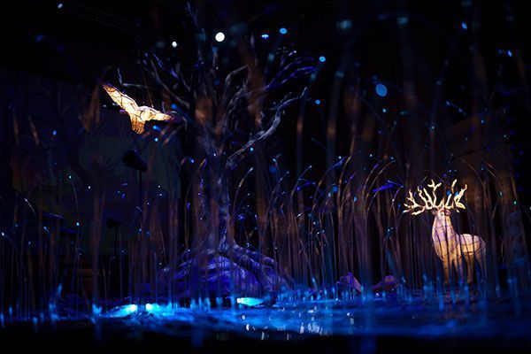 Solstizium, experiencia inmersiva familiar en Bilbao