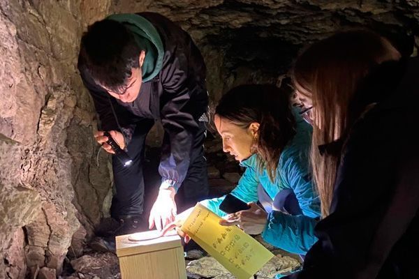 juego de escape La Arboleda Bizkaia