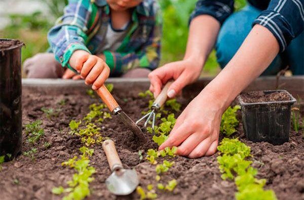 taller de jardinería para niños Bilbao