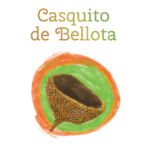 Recomendaciones libros para regalar niñas y niños Olentzero Navidad Reyes Magos